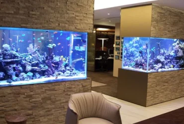 Tips Memilih Kaca Aquarium yang Tepat 