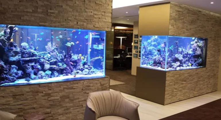 Tips Memilih Kaca Aquarium yang Tepat !